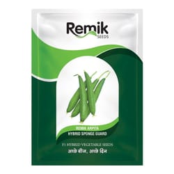 Hybrid Sponge Gound Remik Arpita