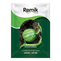Remik Karingda