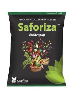 Saforiza