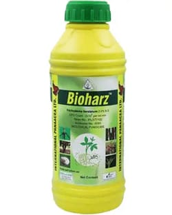 Bioharz