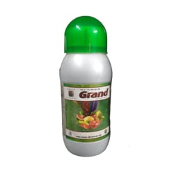 Grand