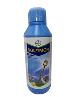 Solomon
