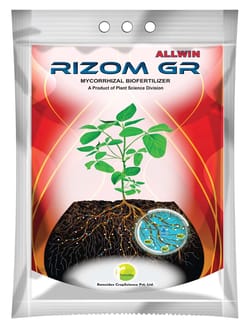 Rizom GR