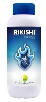 Rikishi