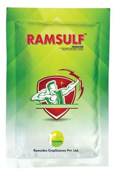Ramsulf