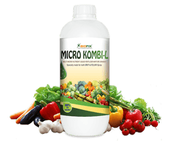 Micro Kombi - L