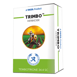 TRIMBO