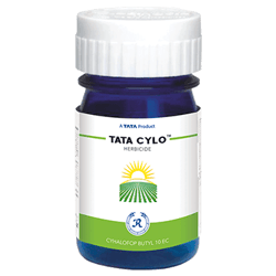 Tata Cylo
