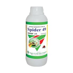 Spider 49