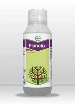 Planofix