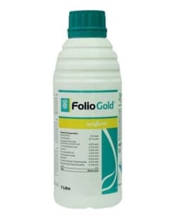 Folio Gold