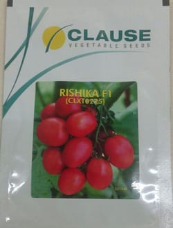 Clause Rishika 225 F1 Hybrid  Tomato Seeds