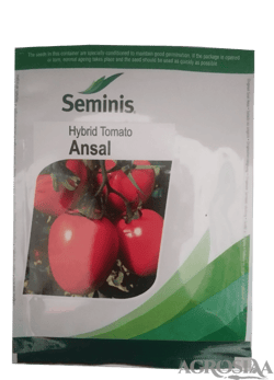Hybrid Tomato Ansal