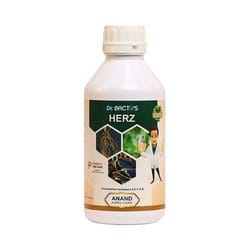 Dr. Bacto's Herz