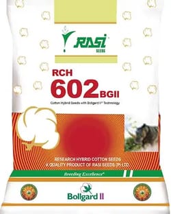 Rasi (RCH 602 BG II)