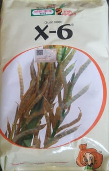X-6