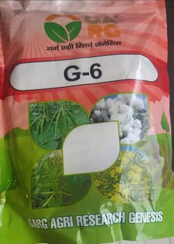 G - 6