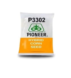 Pioneer Maize 3302