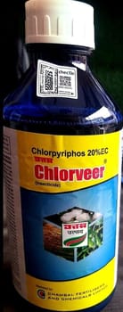 Chlorveer