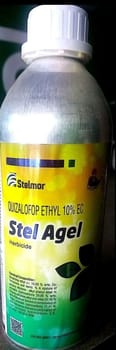 Stel Agel