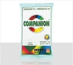 Companion