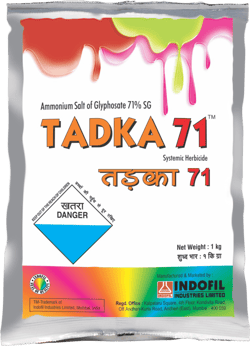Tadka 71