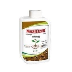 Maxilizer L