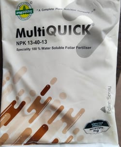 MultiQuick