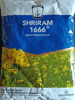 Shriram 1666