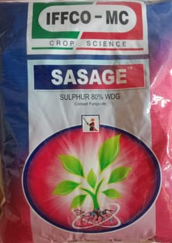 Sasage Sulphur 80%
