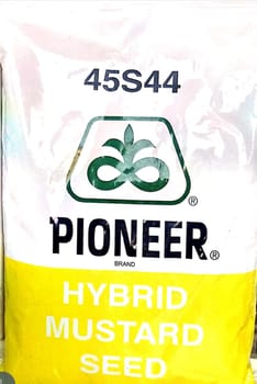 Pioneer 45S44