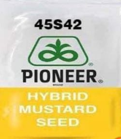 Pioneer 45S42