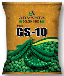 GS-10