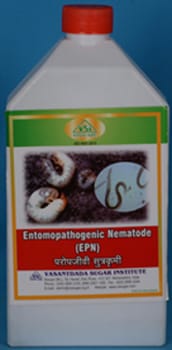 Entomopathogenic Nematode(EPN)