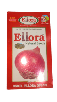 Onion-Ellora Gulabi