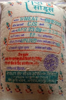 Wheat - DBW - 222