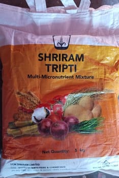 Shriram Tripti