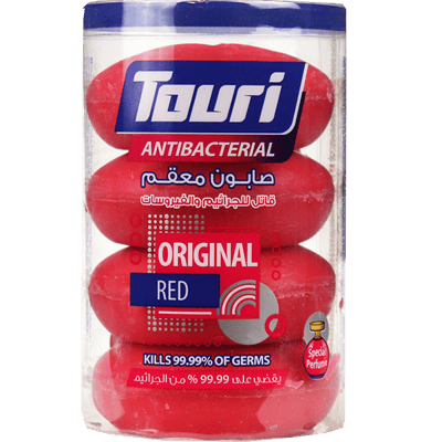 Soap Antibacterial Touri 4 Pieces