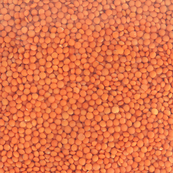 Red Split Lentils 800g | عدس أحمر فرط 800 غ
