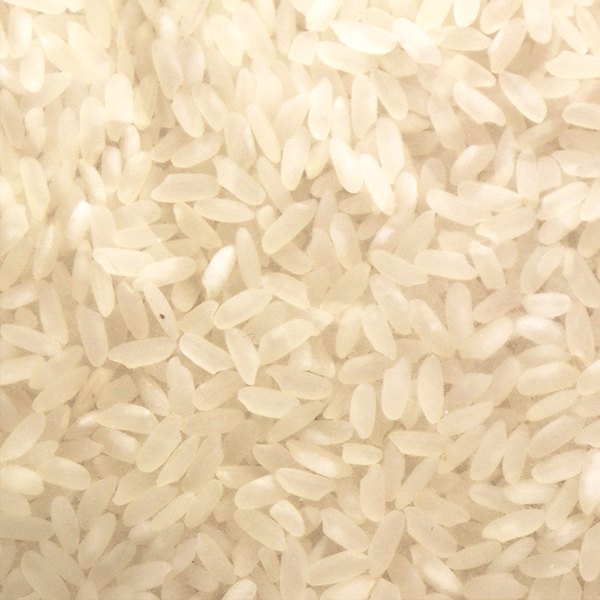 Chtoura Fields Egyptian Rice 5kg | رز حبة مصرية شتورة فيلدز 5 كغ
