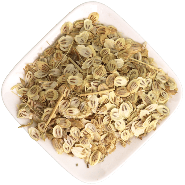 Golpar (Persian Hogweed) 100g | جلبار (حب الكلبار) 100 غ