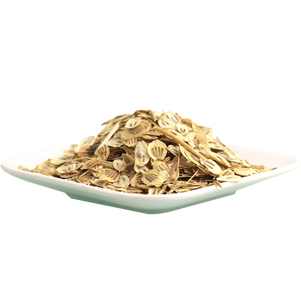 Golpar (Persian Hogweed) 100g | جلبار (حب الكلبار) 100 غ