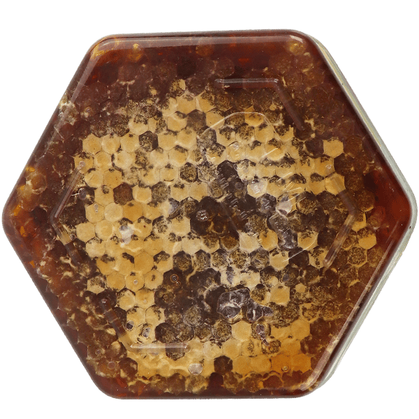Natural Honeycomb Small Hexagon Pack | عسل بالشمع طبيعي عبوة صغيرة سداسية