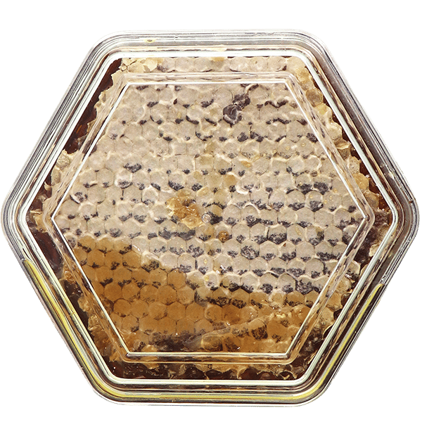 Natural Honeycomb Small Hexagon Pack | عسل بالشمع طبيعي عبوة صغيرة سداسية