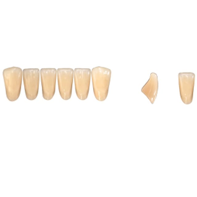 Pala Denture Teeth Mondial 6 Anterior CE - Lower L362