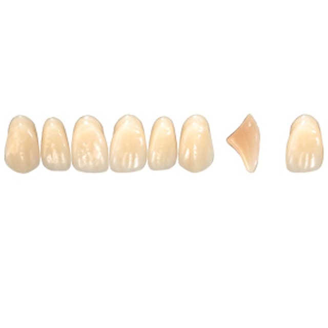 Pala Denture Teeth Mondial 6 Anterior CE - Upper O510
