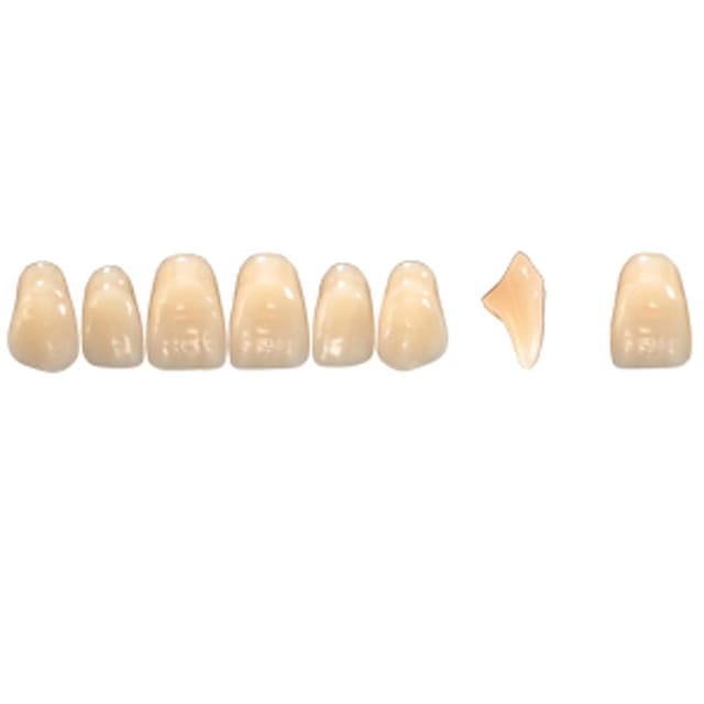 Pala Denture Teeth Mondial 6 Anterior CE - Upper R455E