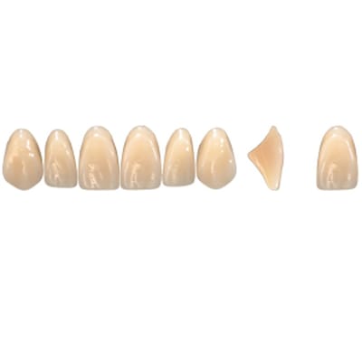 Pala Denture Teeth Mondial 6 Anterior CE - Upper R483