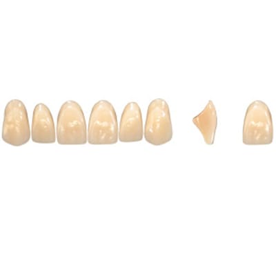 Pala Denture Teeth Mondial 6 Anterior CE - Upper T442