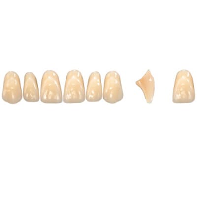 Pala Denture Teeth Mondial 6 Anterior CE - Upper T450